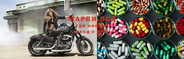 дмт Аркадак