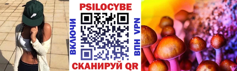 где можно купить наркотик  mega маркетплейс  Галлюциногенные грибы GOLDEN TEACHER  Отрадный 